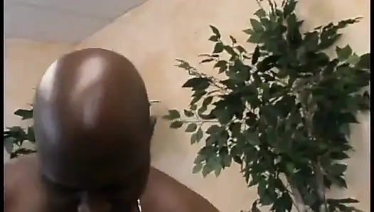 Couple of lucky black dongs do some pussy damage