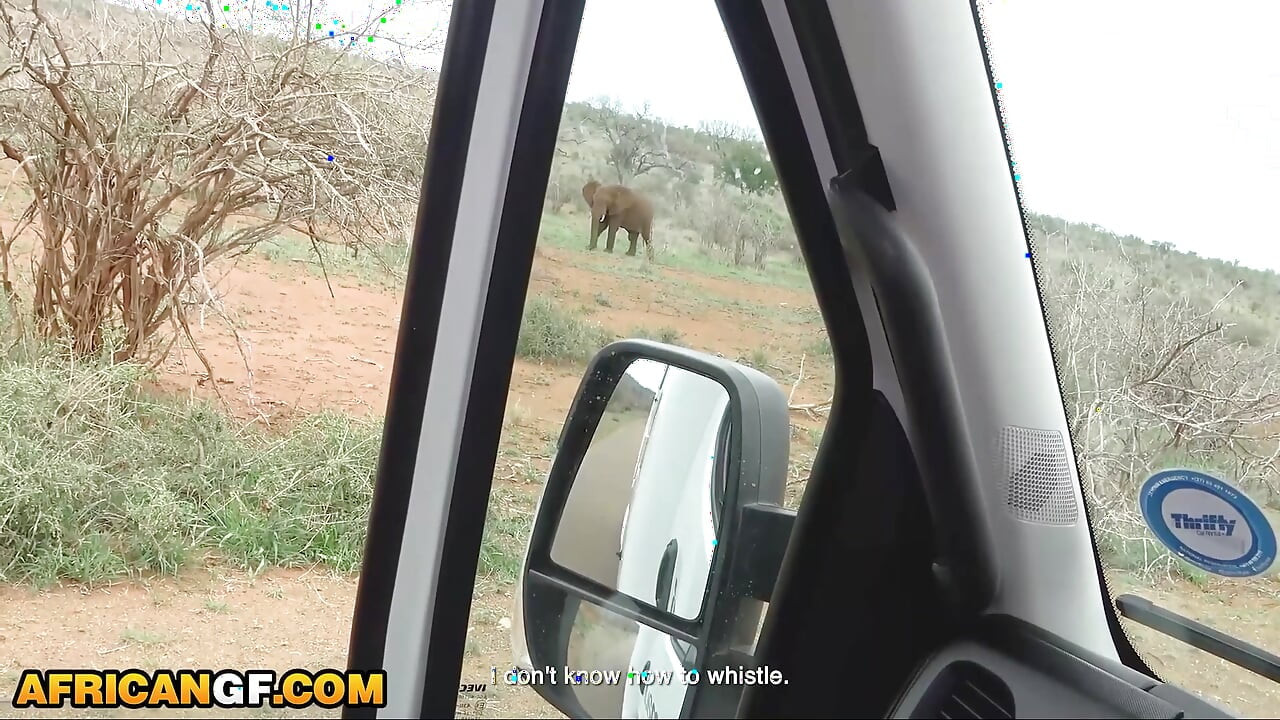 Moja crna devojka se ponašala nevino tokom safari... Na kraju sam molio za moju spermu odmah nakon