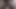 Big Giant Cock Mushroom Head Daddy Dick Thick BBC