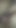 Çok azgın karım oğlanın büyük yarağını emiyor ve kendimi lezzetli bir üçlü sekste mastürbasyon yaparken izliyorum, 18 yaşındaki erkekleri seviyor ve kanepede oynuyor