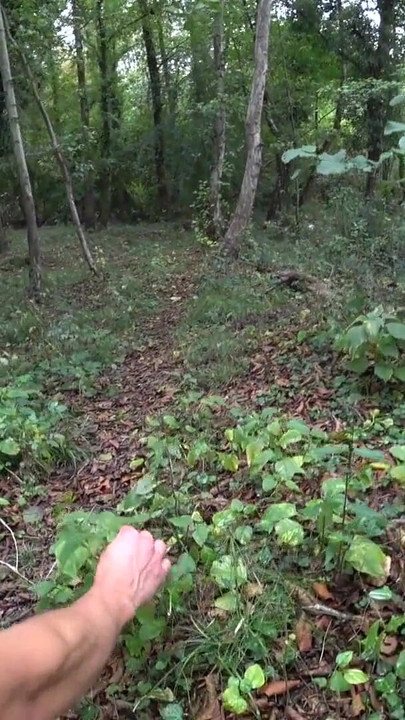 Detik menakjubkan dari "lihat semua orang! PENDIDIKAN VIDEO CANTIK YANG SAYA CUBA dan kami ditangkap di dalam hutan!)"