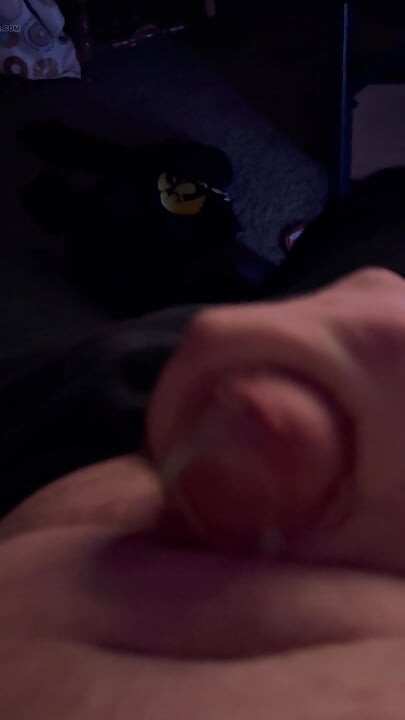 Quick Masturbation Fun and Cum