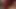 Beautiful stiff cock massaged in the evening with precum and cum