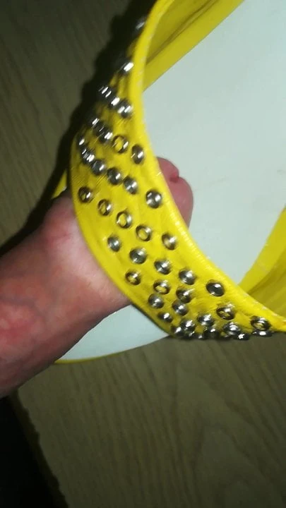 cum in sexy mule