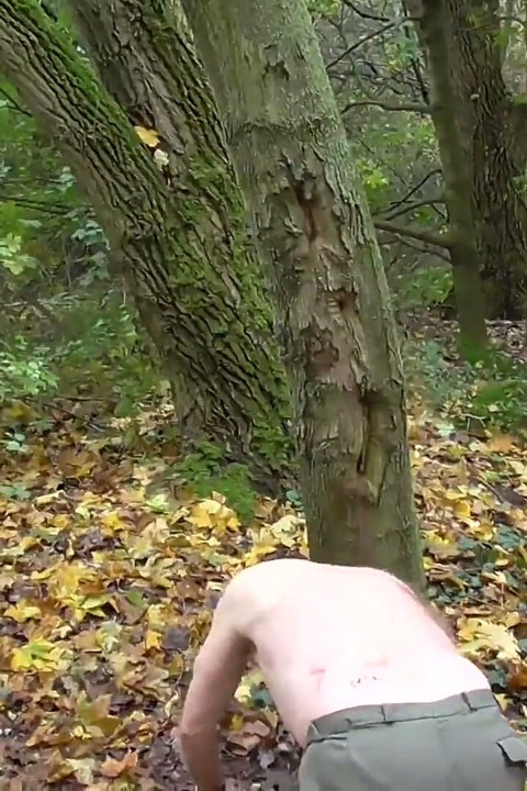 The Slave Bastards Destroyed in The Forest