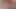 PIGBOYRUBEN BEST OF 2020 RAUNCHY AND NASTY