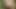 Sexy femboy jerking and playing with ass outside
