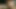 Oiled masturbation and hot cumshot by horny male