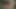 Teen BBW Fucked By Big Black Dick