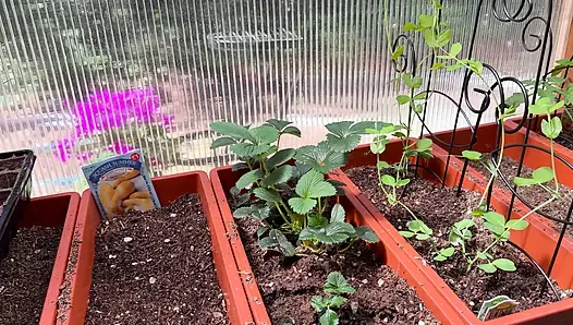 Spring Greenhouse Tour