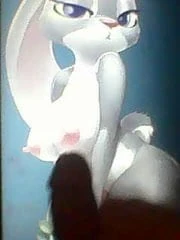 judy hopps (SOP requested)