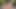 Naked Outdoors Spreading My Pussy and Pissing