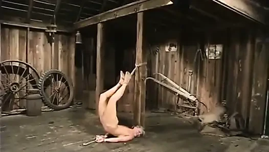 Uyum