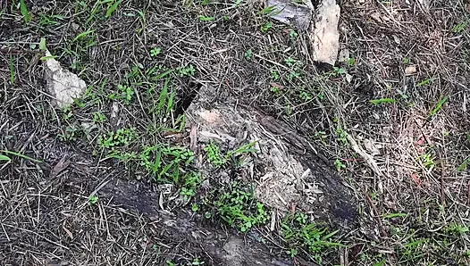 Full Day Video