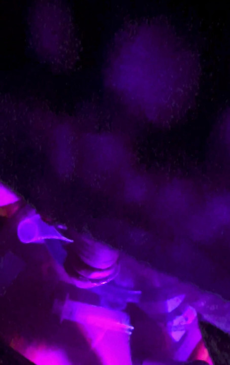 Smoke in Purple