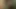 Pakistani Indian bengali slags tiktok