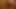 concombre