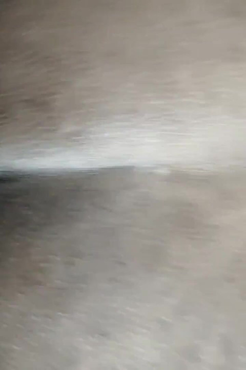 Neighbour Stepbrother Wife Came Again Home for Cum Dose Part 2