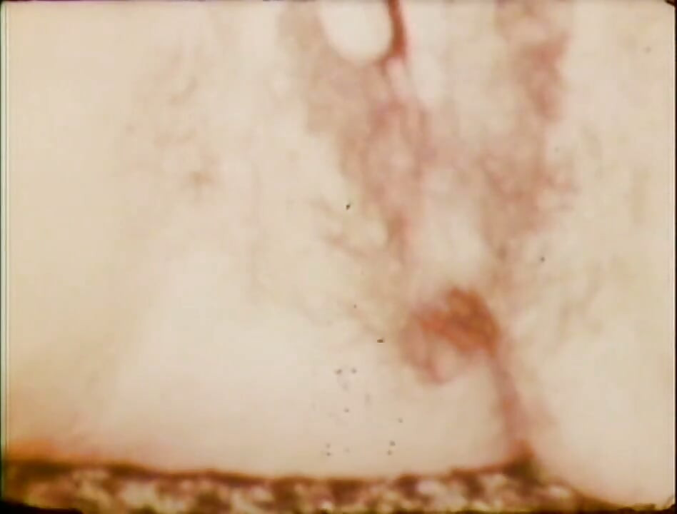 porn ki katha - yooese 1969, shuruaat - drishy 08