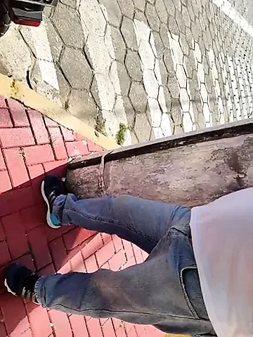 ursinho