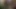 Tall Stepdad Pressing Petite Big Ass Stepdaughter in Backyard