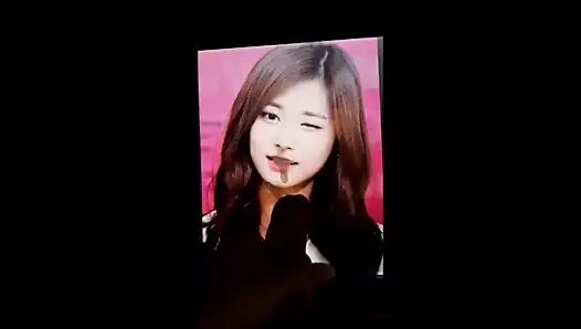 İki kez tzuyu boşalma haraç