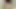 Sexy brunette trans babe masturbates for you