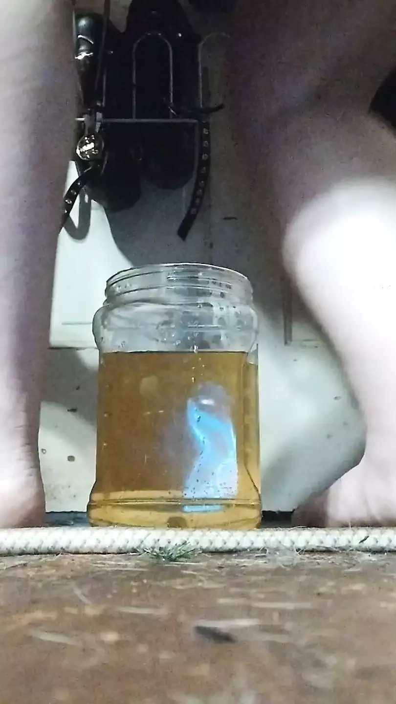3 Pees In The Jug