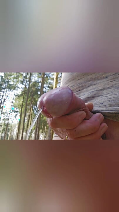 Pissing Fun
