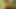 Big dick daddy cumming on cam