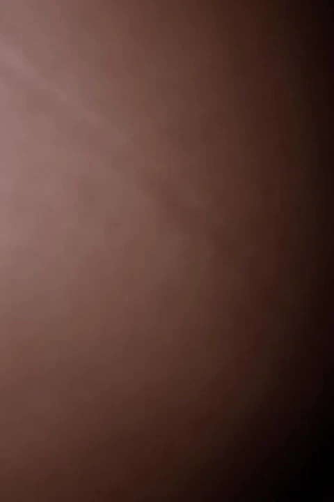 他服从我的意志