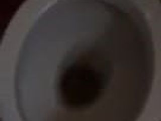 Cumshot i toliet