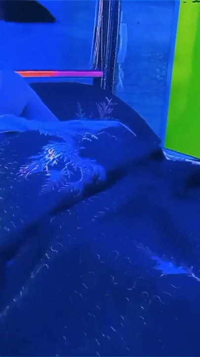 Patronumla tek kişilik yataklı bir otel odasını paylaşıyoruz ve sonunda sikiştik. | Klip 2