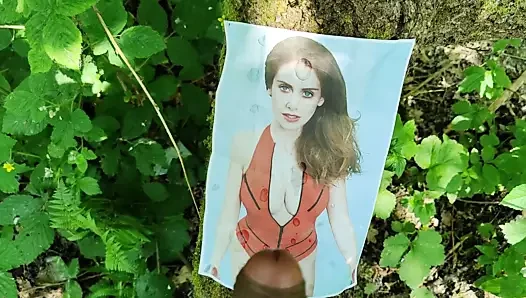 Allison brie haraç