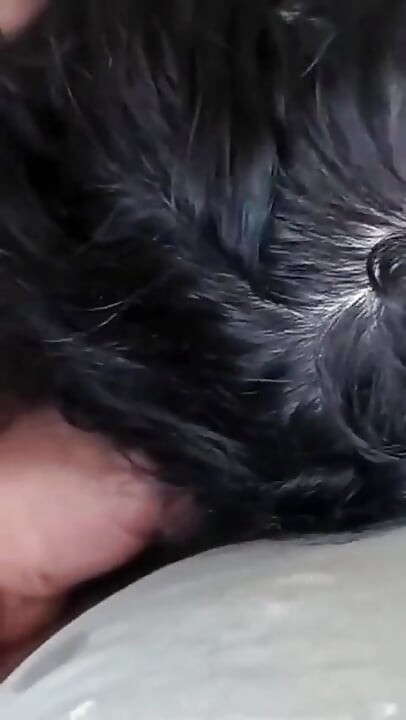 Esposa árabe cachonda no puede esperar