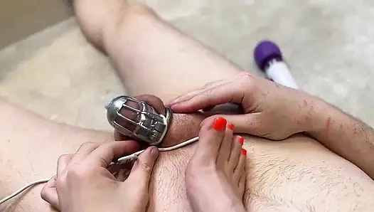 Good Boy Require