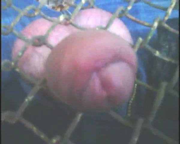 member in the fence
