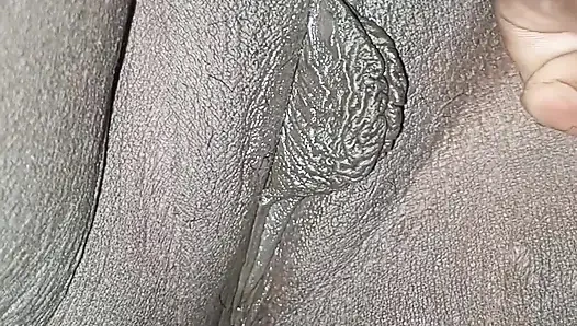 My penis became erect after seeing stepaunty's smooth pussy.