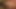 Cumshot on Pretty Brunettes Face
