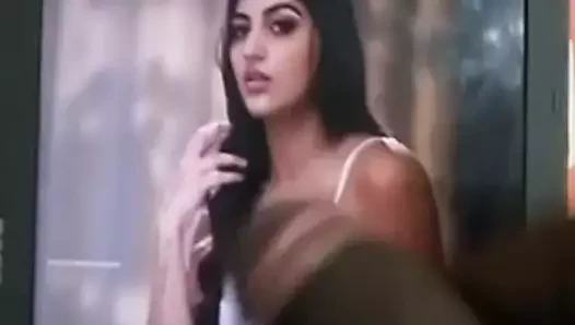 Yashika anand horoz haraç