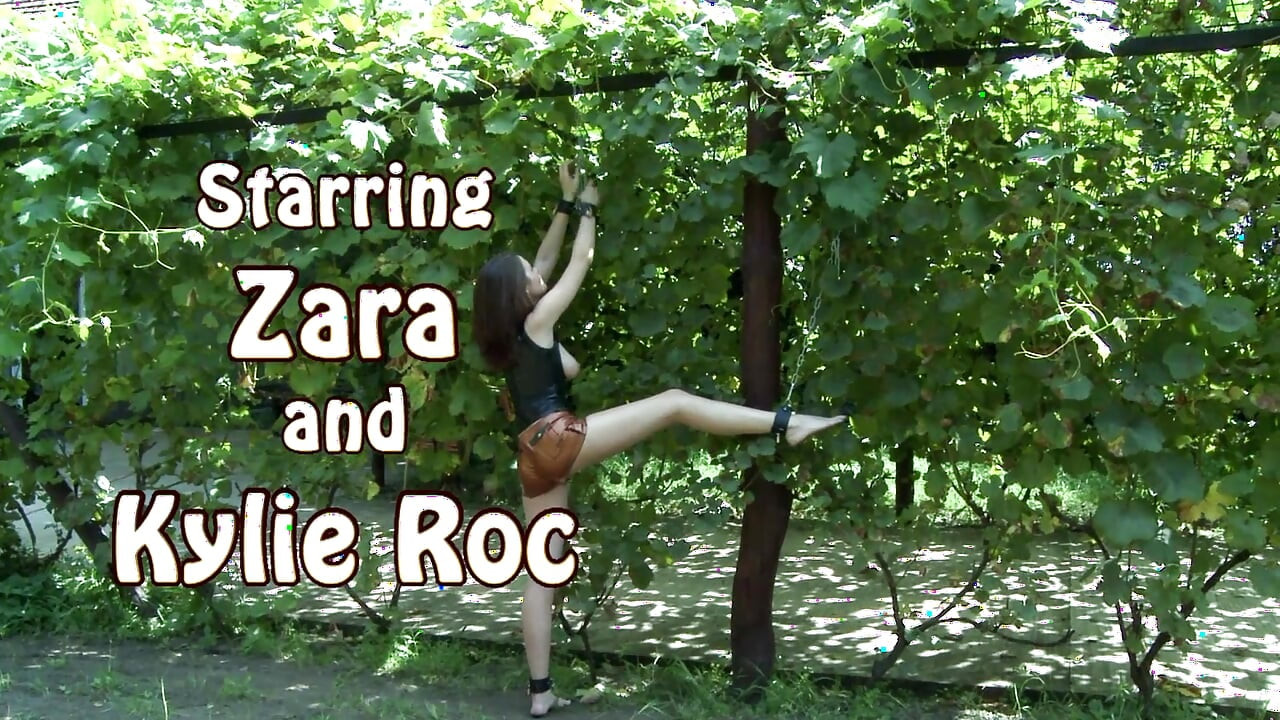 スクリームリピートを送信