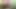 Pacarku ngentot dildo untuk pertama kalinya, sekarang dia pengen berbagi kontol besar pacarnya