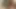 Watch my big tranny cock go deep in your ass