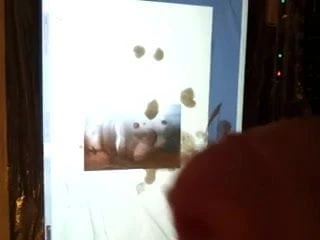 hell in high heels cumshot video tribute