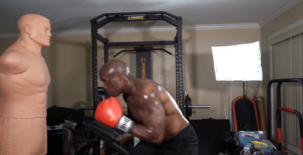 Boxing Workout Resistance Exercises Should Initially Focus on Optimizing Ideal Movement Patterns. Once a Client Displays Adequat