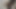 私は自分のおもちゃが大好きです