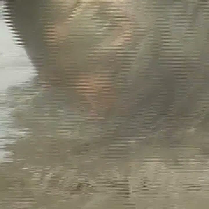 Mature Brunette MILF Gets Fucked Hard in Mud