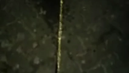 Little cook pissing