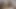 Anal sex for a trans woman and a hairy woman who love to get fucked