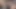 51 MIN WEBCAM EXHIBITIONIST JERKING CUMSHOT SEXSHOW